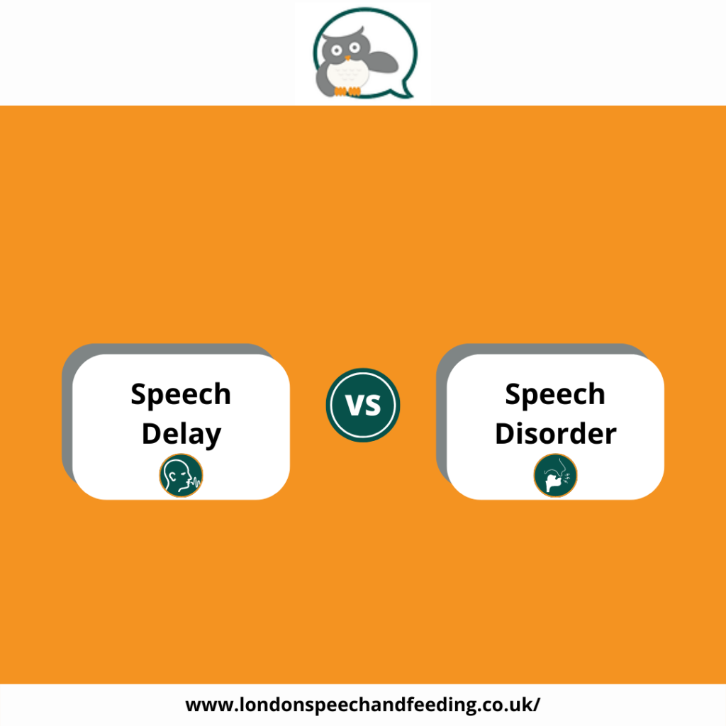 Speech delay vs speech disorder