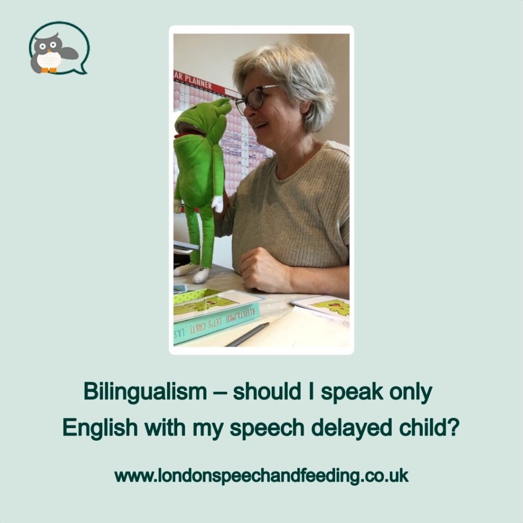 Bilingualism – should I speak only English with my speech delayed child?