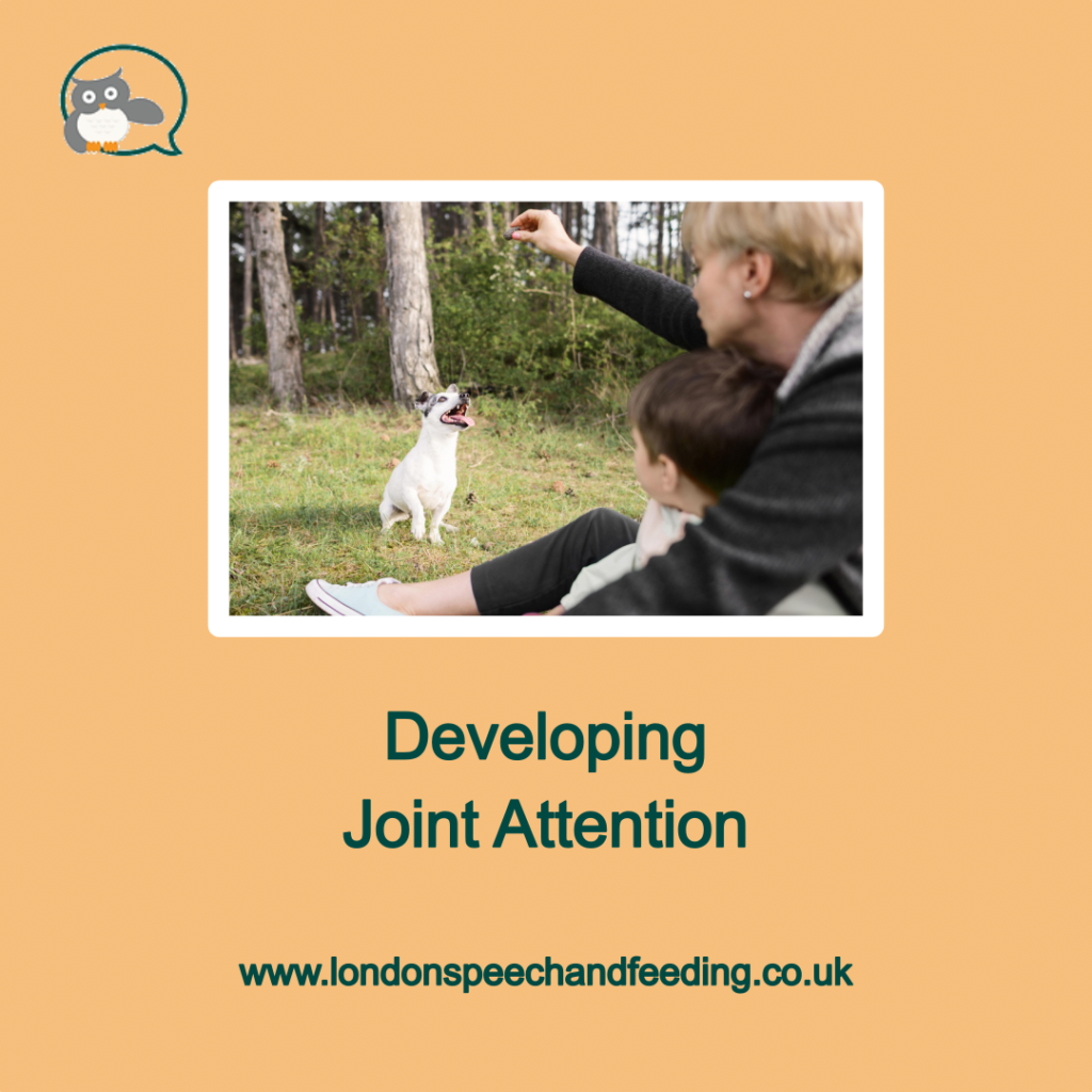 Developing Joint Attention