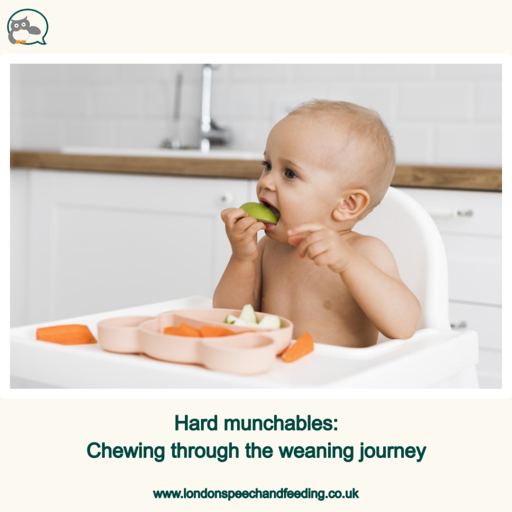 Hard munchables: Chewing through the weaning journey