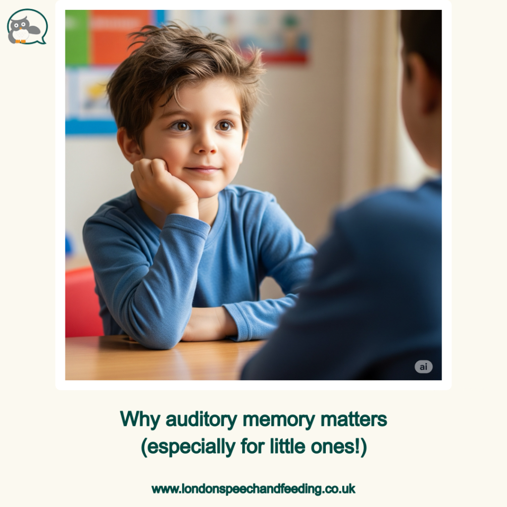 Why auditory memory matters (especially for little ones!)