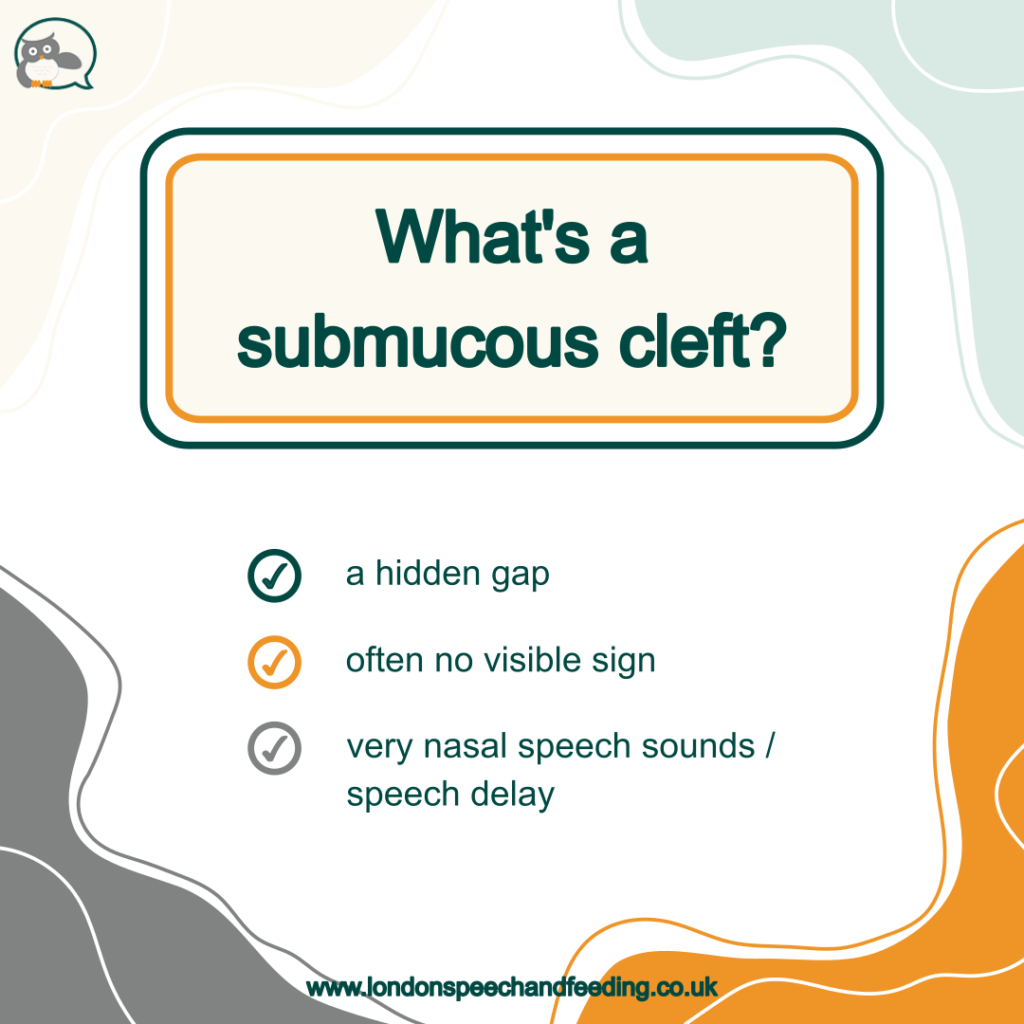 Submucous cleft palate: What is it and how does it impact on speech?