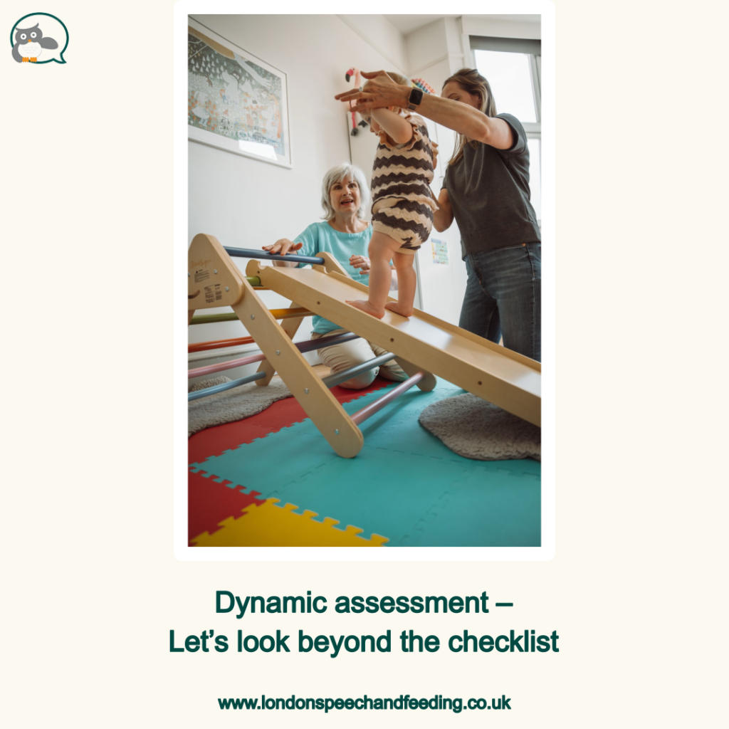 Dynamic assessment – Let’s look beyond the checklist