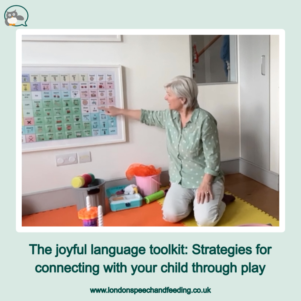 The joyful language toolkit: Strategies for connecting with your child through play