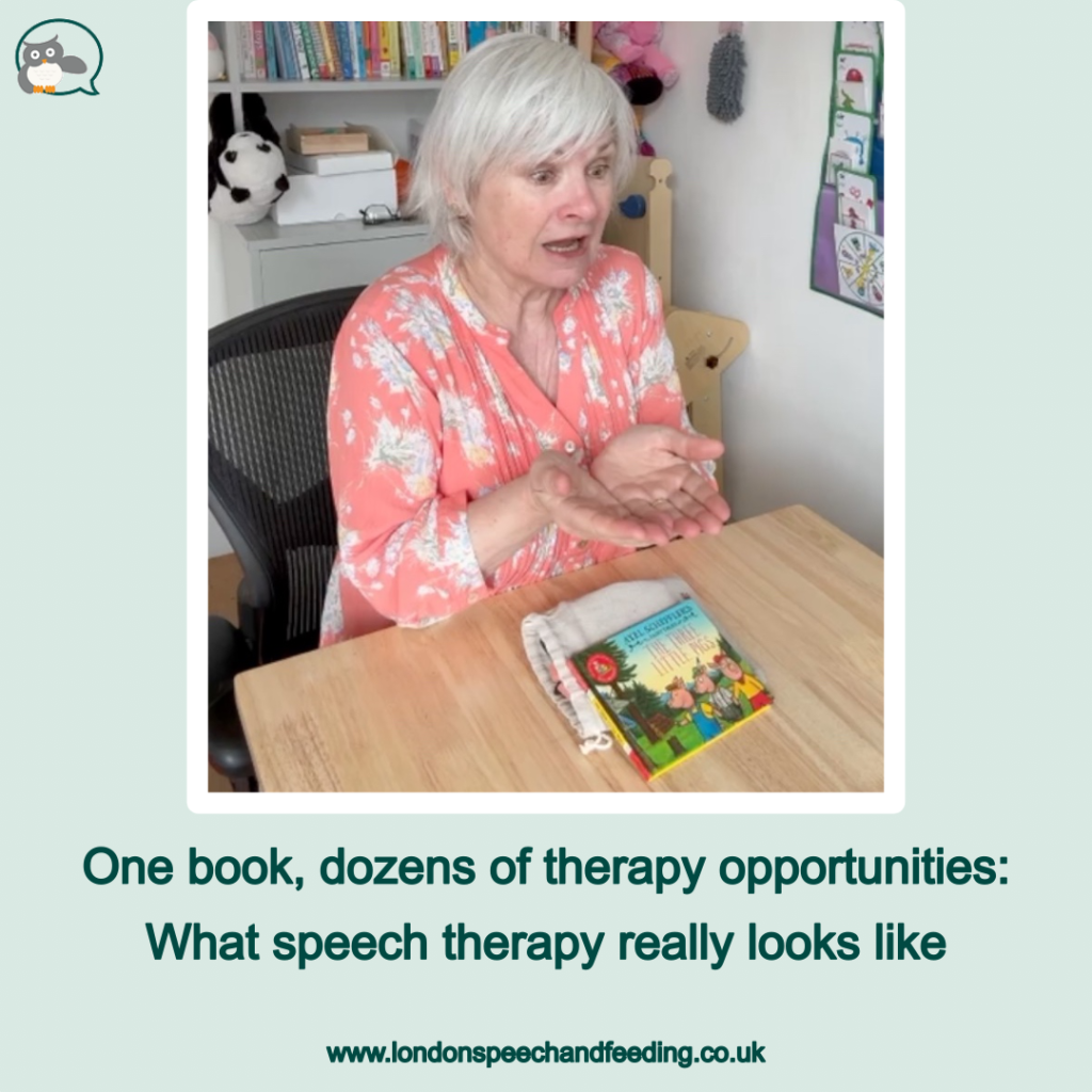 One book, dozens of therapy opportunities: What speech therapy really looks like