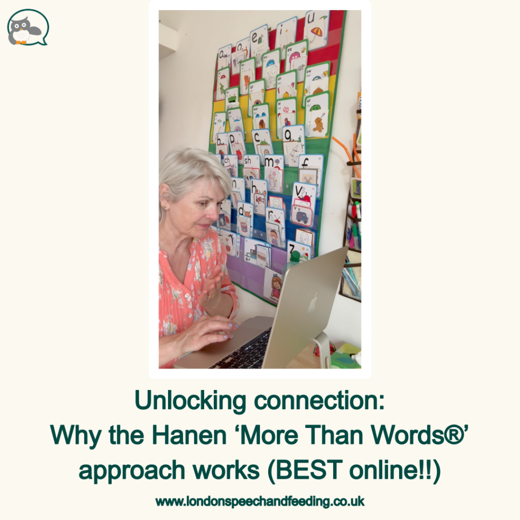 Unlocking connection: Why the Hanen ‘More Than Words®’ approach works (BEST online!!)